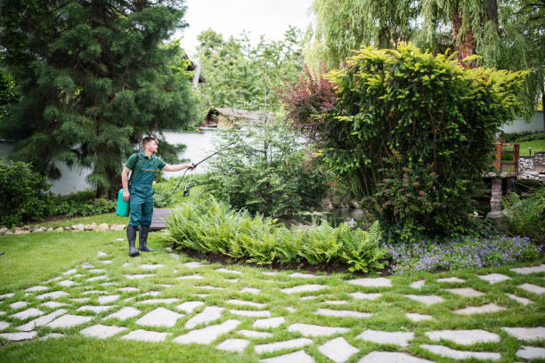Best Best Pest Control Companies  in Blooming Prairie, MN