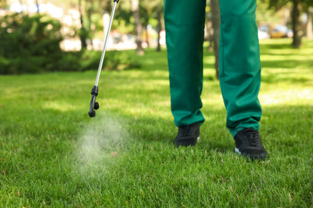 Best Mosquito Control Services  in Blooming Prairie, MN