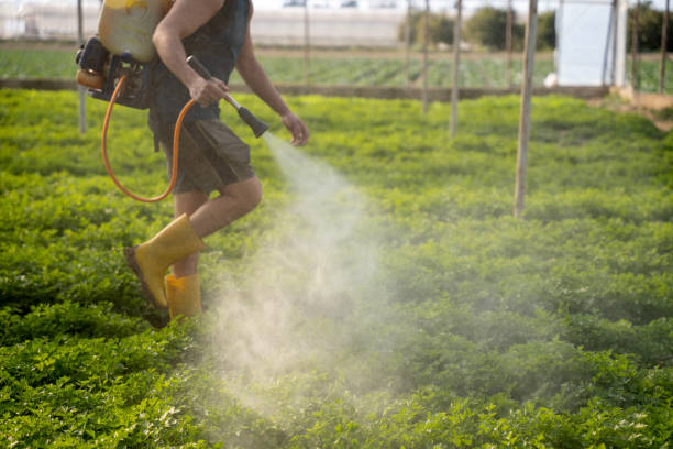 Best Local Pest Control Services  in Blooming Prairie, MN