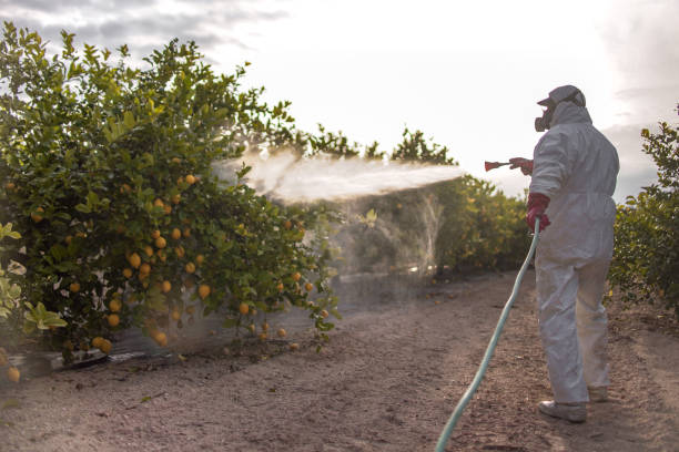 Best Affordable Pest Control Services  in Blooming Prairie, MN