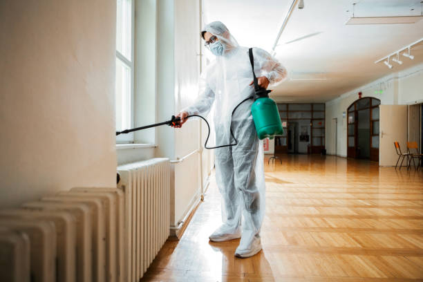Best Flea Control Services  in Blooming Prairie, MN